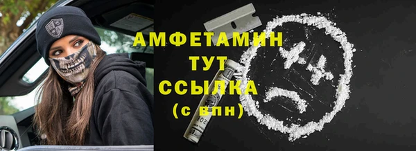 сатива Осташков